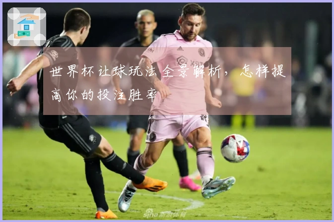世界杯让球玩法全景解析,怎样提高你的投注胜率