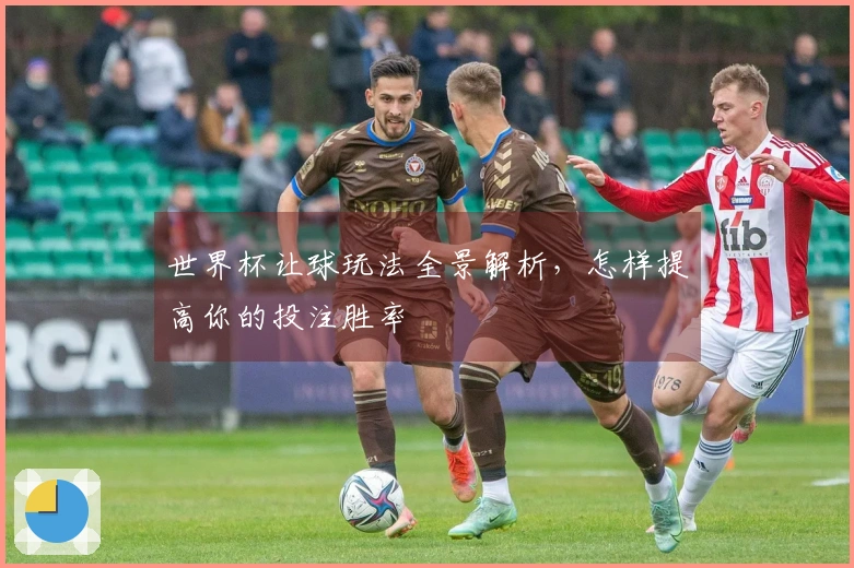 世界杯让球玩法全景解析，怎样提高你的投注胜率