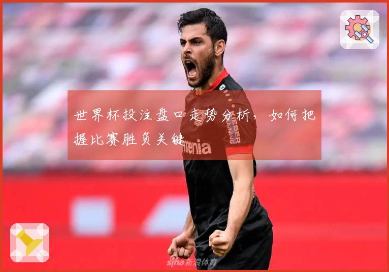 世界杯投注盘口走势分析，如何把握比赛胜负关键