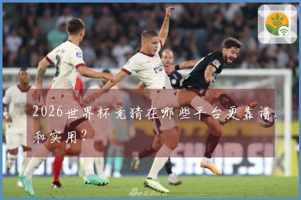 2026世界杯竞猜在哪些平台更靠谱和实用？