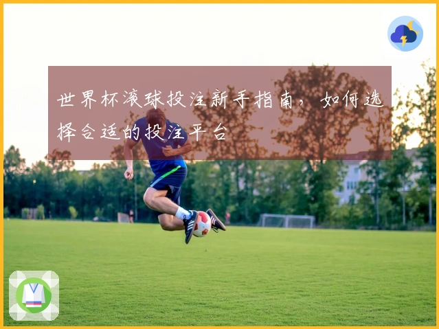 世界杯滚球投注新手指南,如何选择合适的投注平台