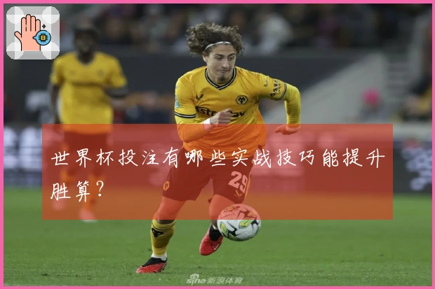 世界杯投注有哪些实战技巧能提升胜算?