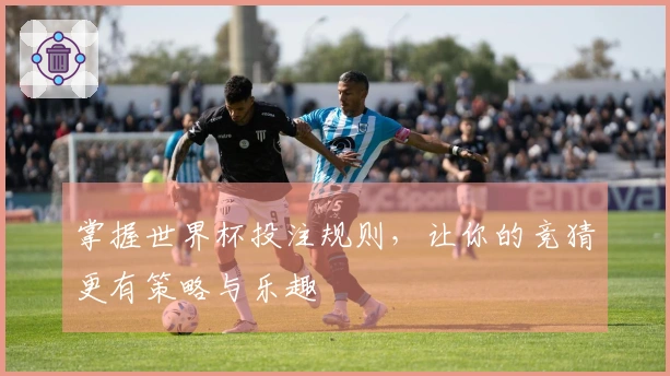 掌握世界杯投注规则，让你的竞猜更有策略与乐趣