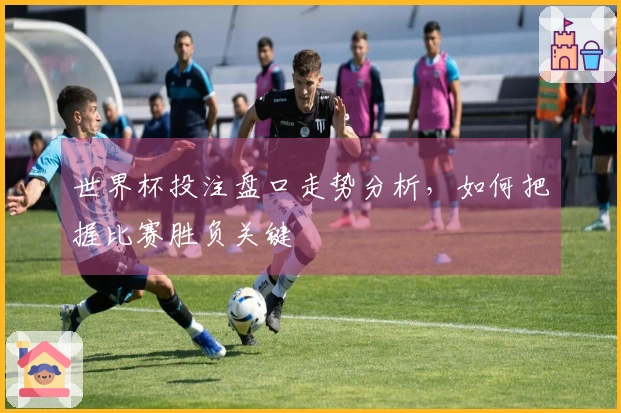 世界杯投注盘口走势分析，如何把握比赛胜负关键