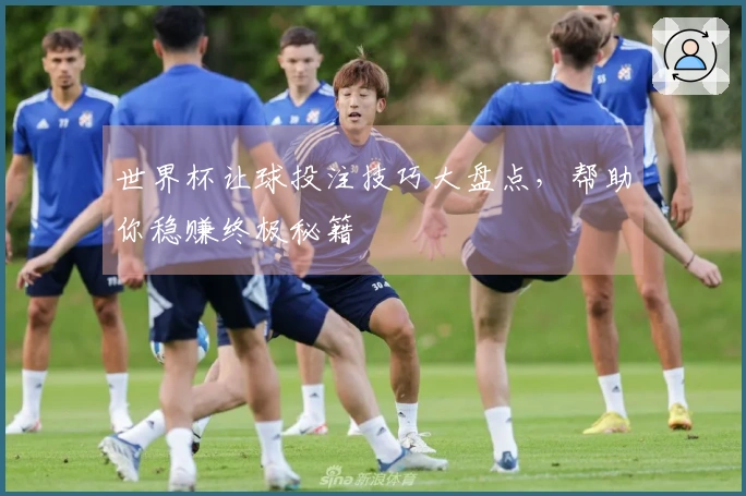 世界杯让球投注技巧大盘点，帮助你稳赚终极秘籍