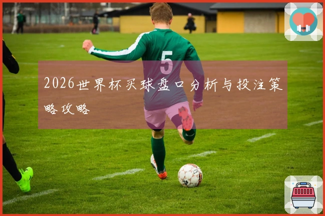 2026世界杯买球盘口分析与投注策略攻略