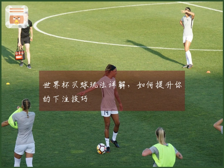 世界杯买球玩法详解，如何提升你的下注技巧