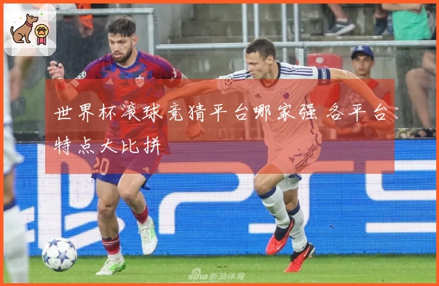 世界杯滚球竞猜平台哪家强 各平台特点大比拼