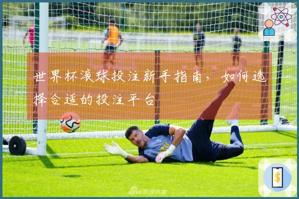 世界杯滚球投注新手指南，如何选择合适的投注平台