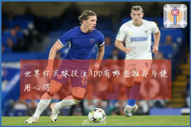 世界杯买球投注App有哪些推荐与使用心得