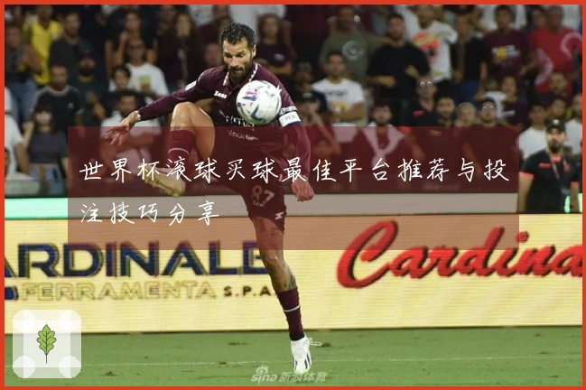 世界杯滚球买球最佳平台推荐与投注技巧分享